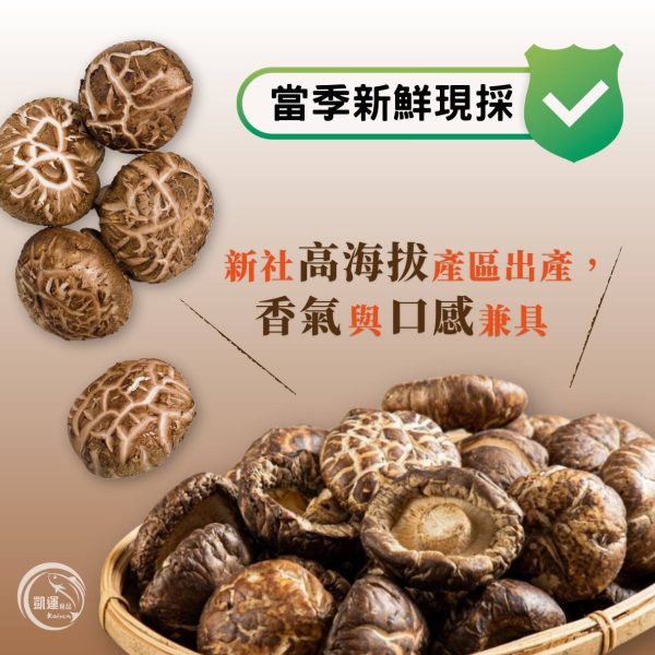 新社香菇-山林厚禮，自然濃香：圖片 3